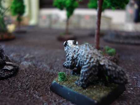 As the noise dies down, a lone badger studies the field